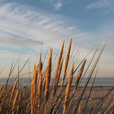 Mit Balkon-nur 500 Meter Zum 公寓 青斯特