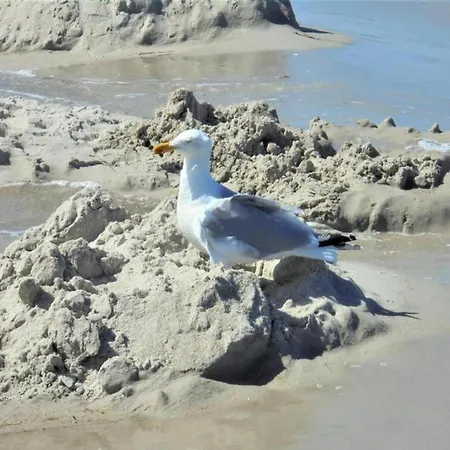 Mit Balkon-nur 500 Meter Zum