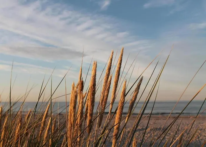 Mit Balkon-nur 500 Meter Zum Apartamento Zingst