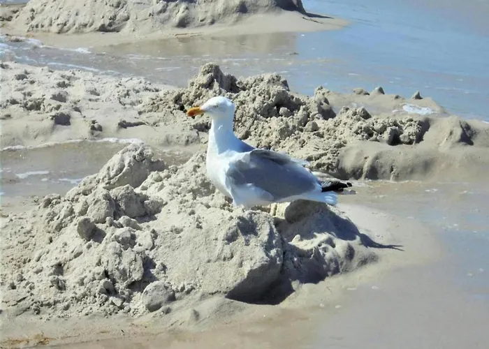 Mit Balkon-nur 500 Meter Zum